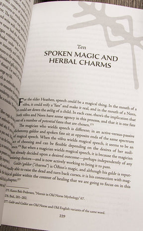 Elves, Witches & Gods-Occult Books-Tragic Beautiful
