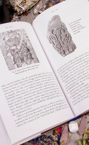 Encyclopedia of Norse and Germanic Folklore, Mythology, and Magic-Occult Books-Tragic Beautiful