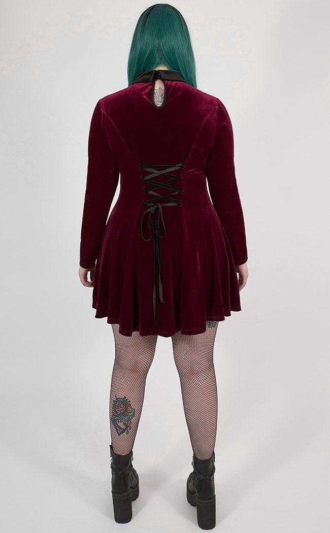 Ensnared Velvet Dress | Red | Plus Size-Punk Rave-Tragic Beautiful