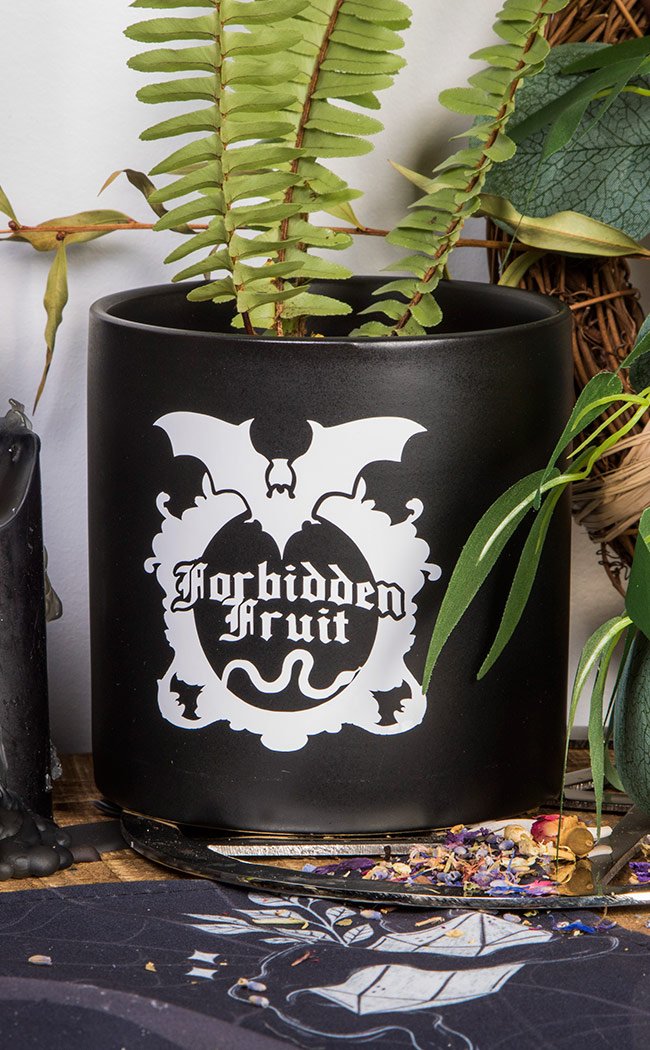 Forbidden Fruit Plant Pot | White on Black-Death By Plants-Tragic Beautiful