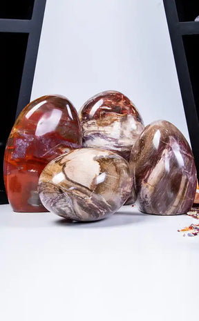 Fossilised Petrified Wood Freeform-Crystals-Tragic Beautiful