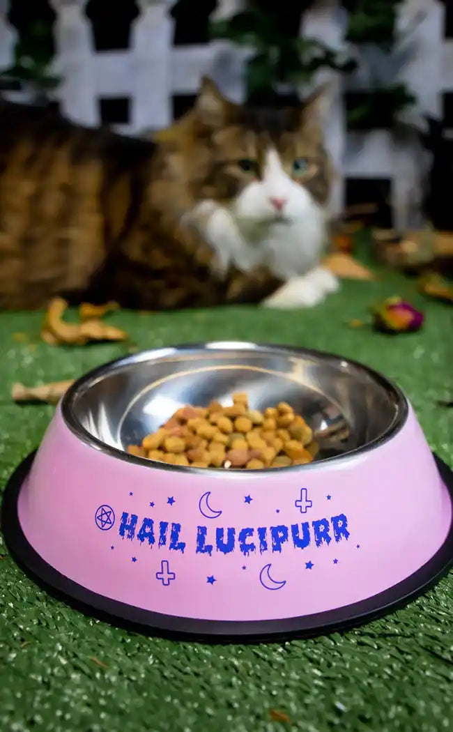Hail Lucipurr Pet Bowl-Furr King-Tragic Beautiful
