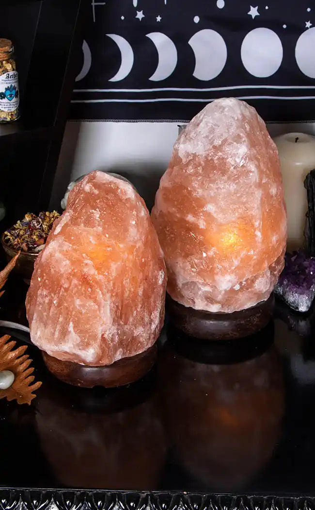 Himalayan Salt Lamp With Timber Base-Crystals-Tragic Beautiful