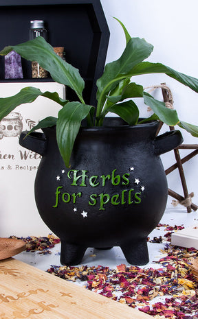 Large Herbs For Spells Cauldron Plant Pot-Homewares-Tragic Beautiful