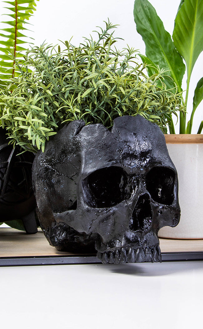 Large Skull Planter | Black-Sarah Mudle-Tragic Beautiful