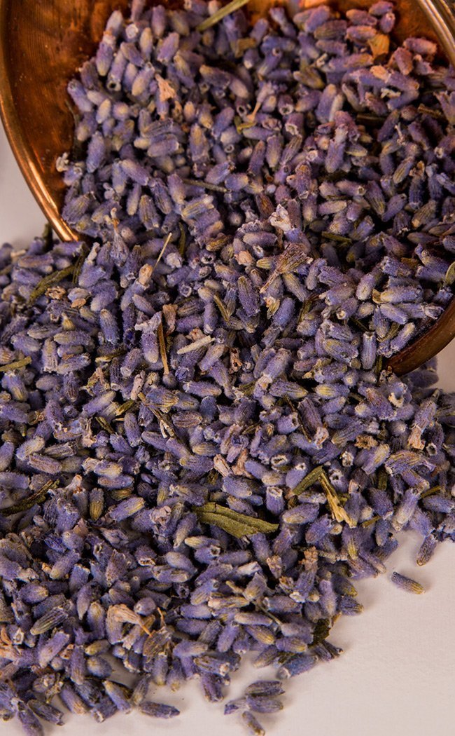 Wholesale Lavender  Witchcraft Herbs Bulk/Wholesale - Infinite Soul -  Fieldfolio