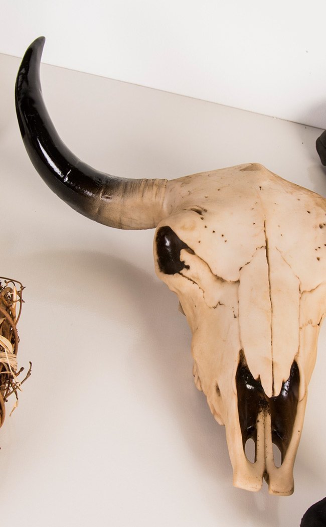 Morbid Cow Skull | Wall Plaque-Gothic Gifts-Tragic Beautiful