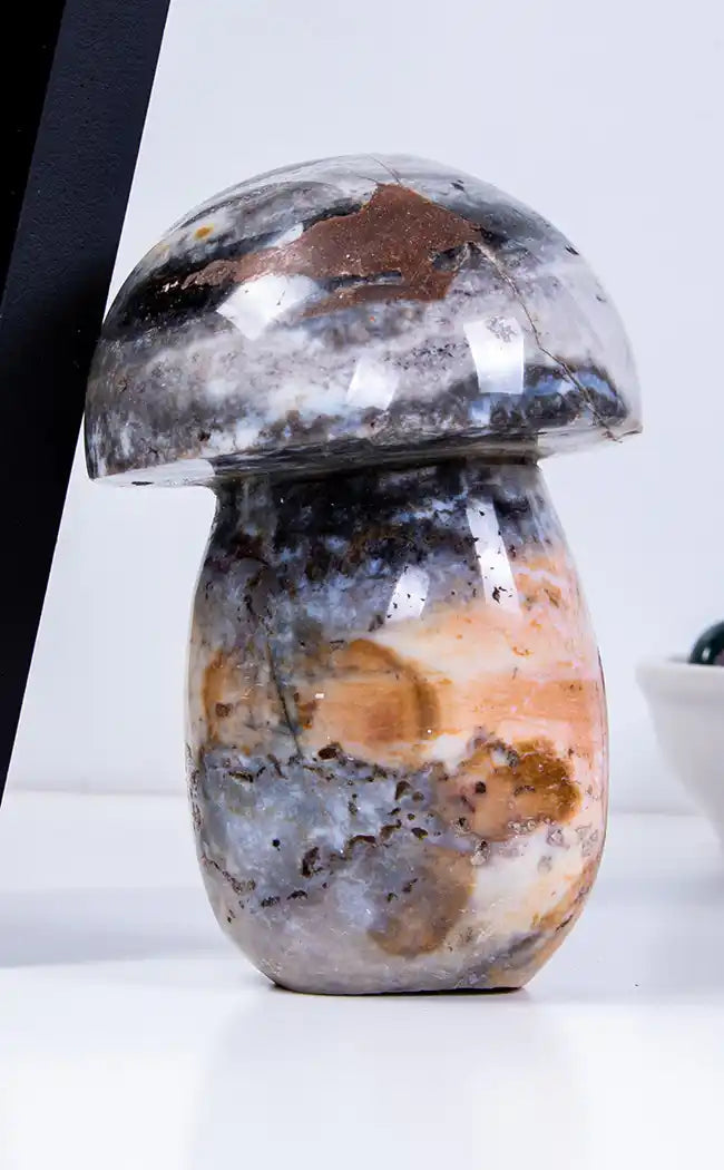 Ocean Jasper Mushrooms | XL-Crystals-Tragic Beautiful