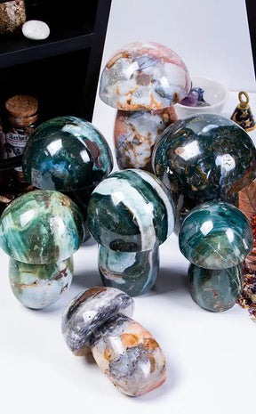Ocean Jasper Mushrooms | XL-Crystals-Tragic Beautiful