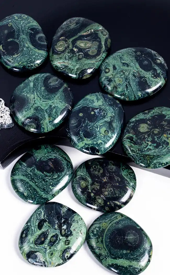 Pocket Palm Stone | Kambaba Jasper-Crystals-Tragic Beautiful