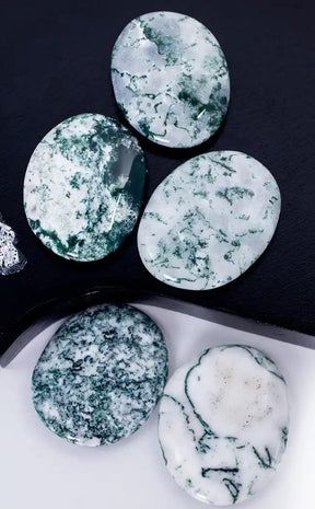 Pocket Palm Stone | Tree Agate-Crystals-Tragic Beautiful
