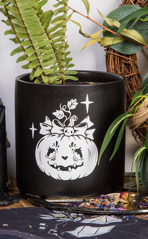 Pumpkin Queen Plant Pot | White on Black-Death By Plants-Tragic Beautiful