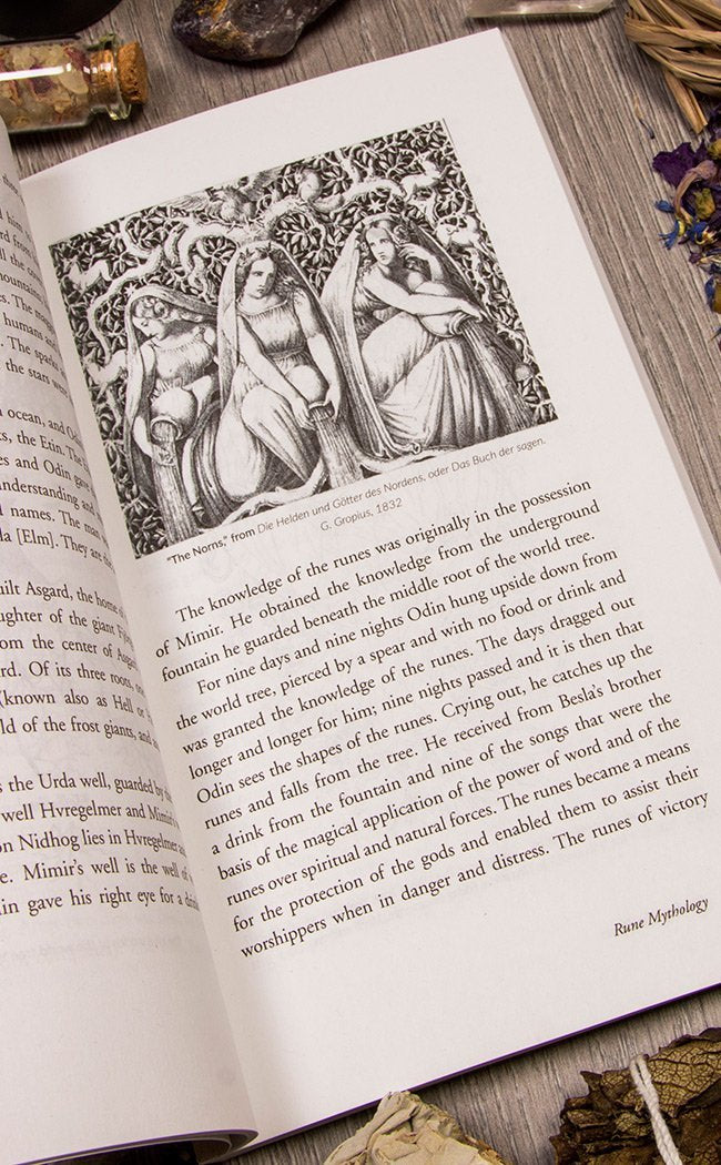 Reading The Runes-Occult Books-Tragic Beautiful