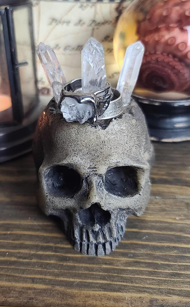 Realistic Skull Ring Holder-Curio Resins-Tragic Beautiful