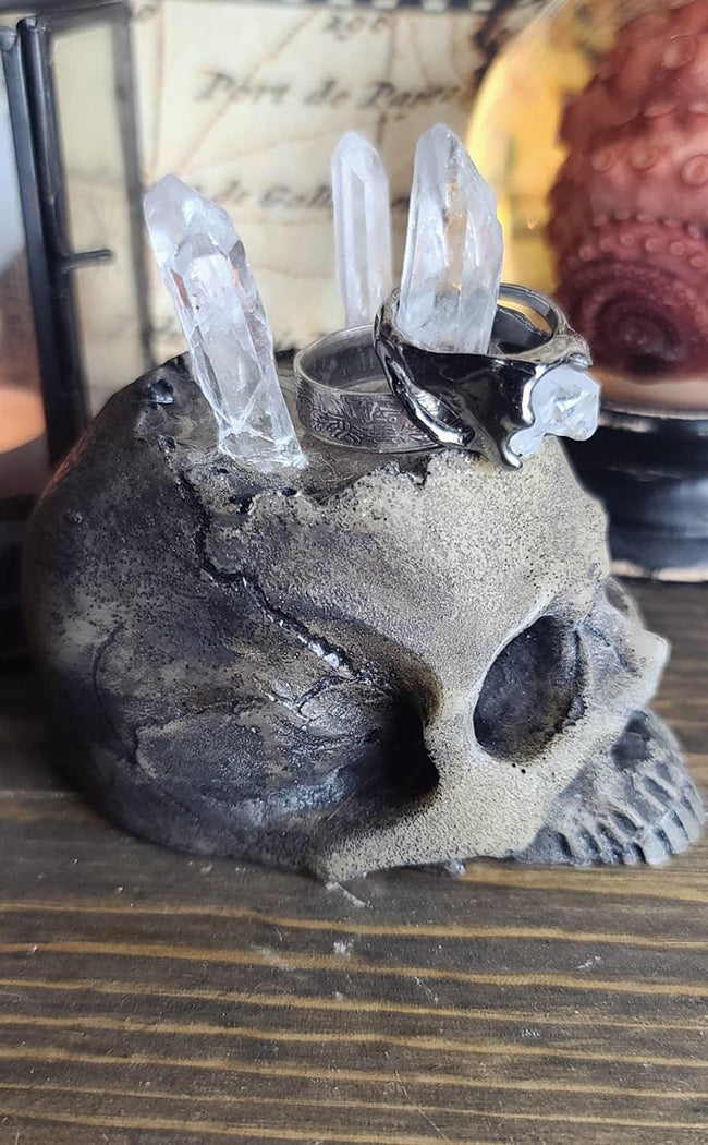 Realistic Skull Ring Holder-Curio Resins-Tragic Beautiful
