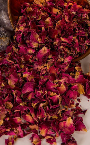 Rose Petals | Herbal Alchemy-Aether-Tragic Beautiful