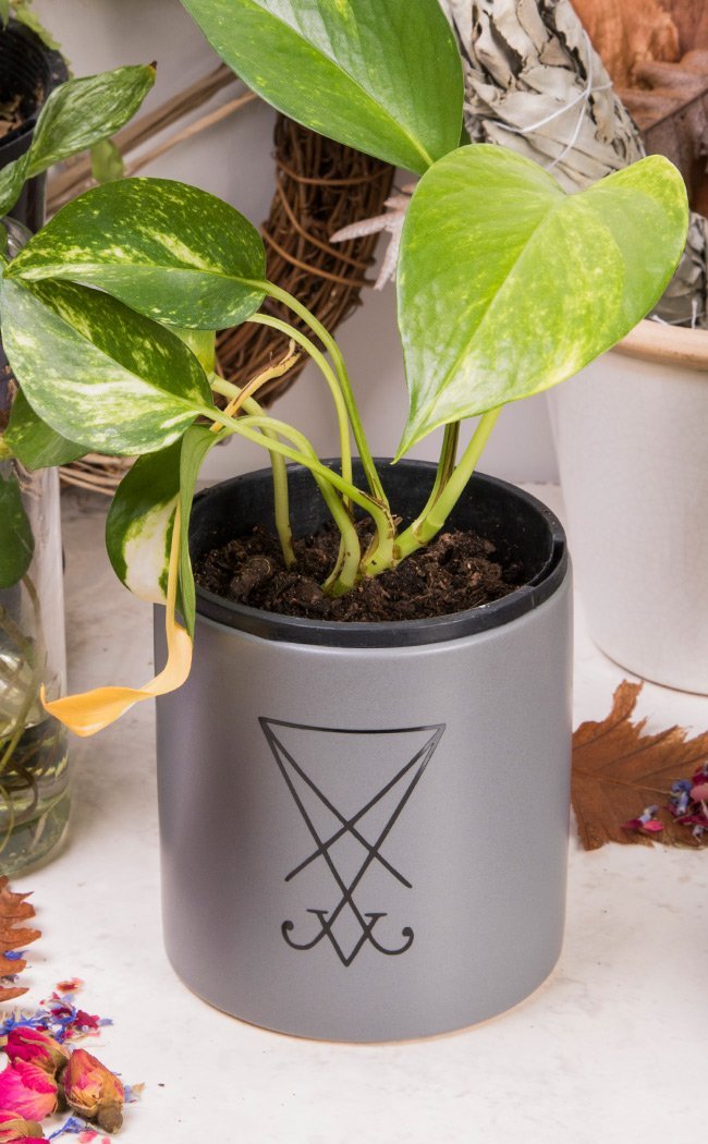 Sigil of Lucifer Plant Pot | Black on Grey-Death By Plants-Tragic Beautiful