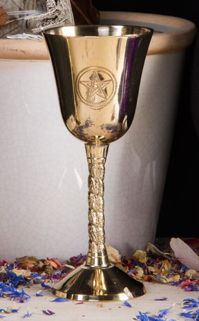 Small Ceremonial Brass Goblets-TB-Tragic Beautiful