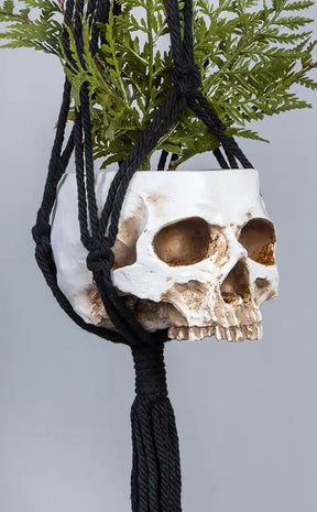 gothic hanging planter Soul Harvest Skull Planter