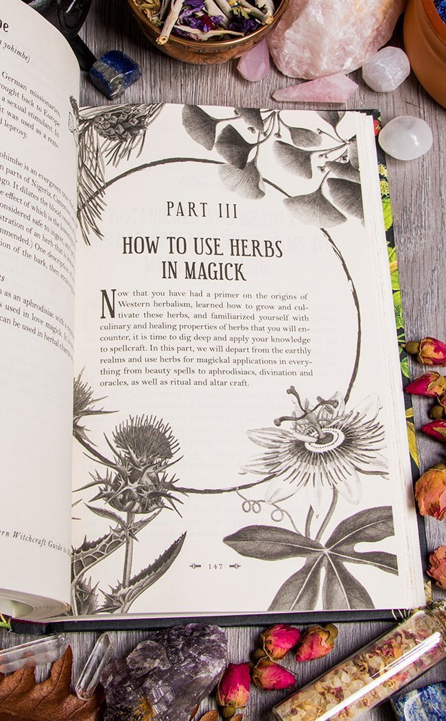 The Modern Witchcraft Guide To Magickal Herbs-Occult Books-Tragic Beautiful