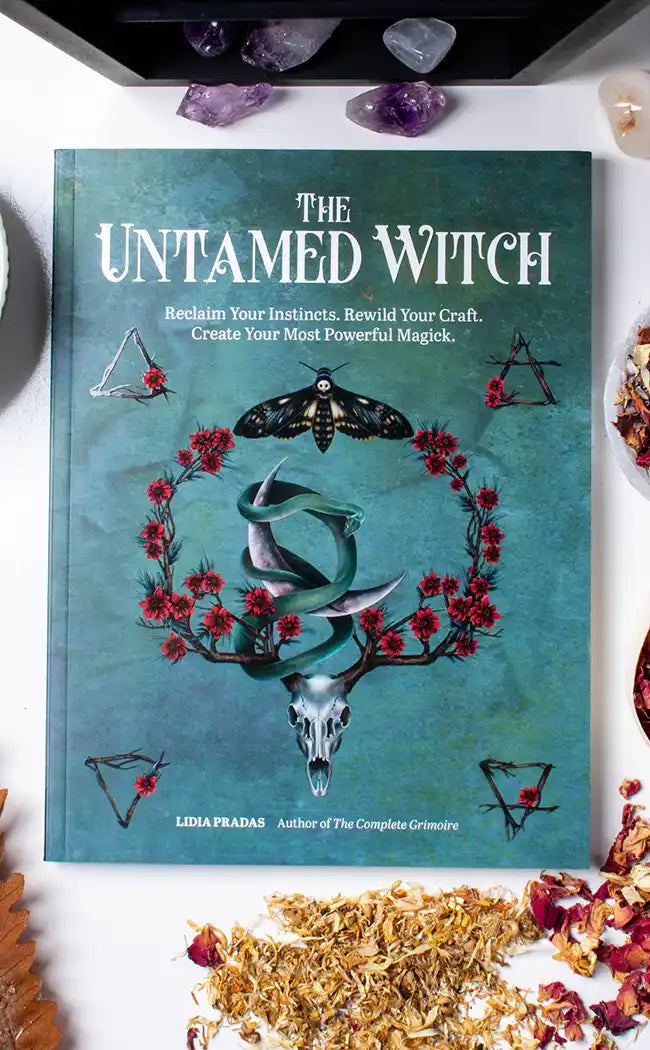 The Untamed Witch-Occult Books-Tragic Beautiful