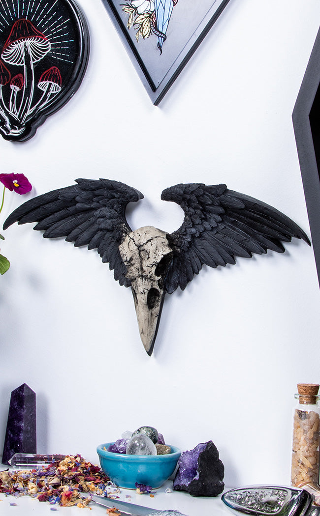 Valkyrie Raven Wall Decor-Curio Resins-Tragic Beautiful