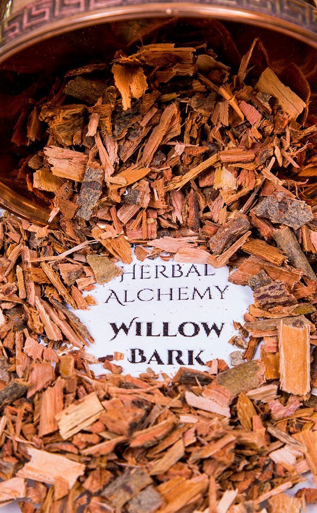 Willow Bark - Herbal Alchemy-Aether-Tragic Beautiful