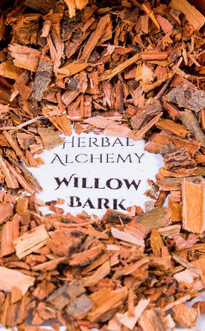 Willow Bark - Herbal Alchemy-Aether-Tragic Beautiful