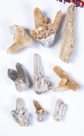 Witch Finger Spirit Quartz Clusters-Crystals-Tragic Beautiful