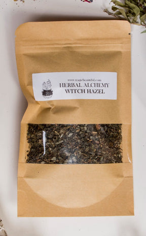 Witch Hazel | Herbal Alchemy-Aether-Tragic Beautiful