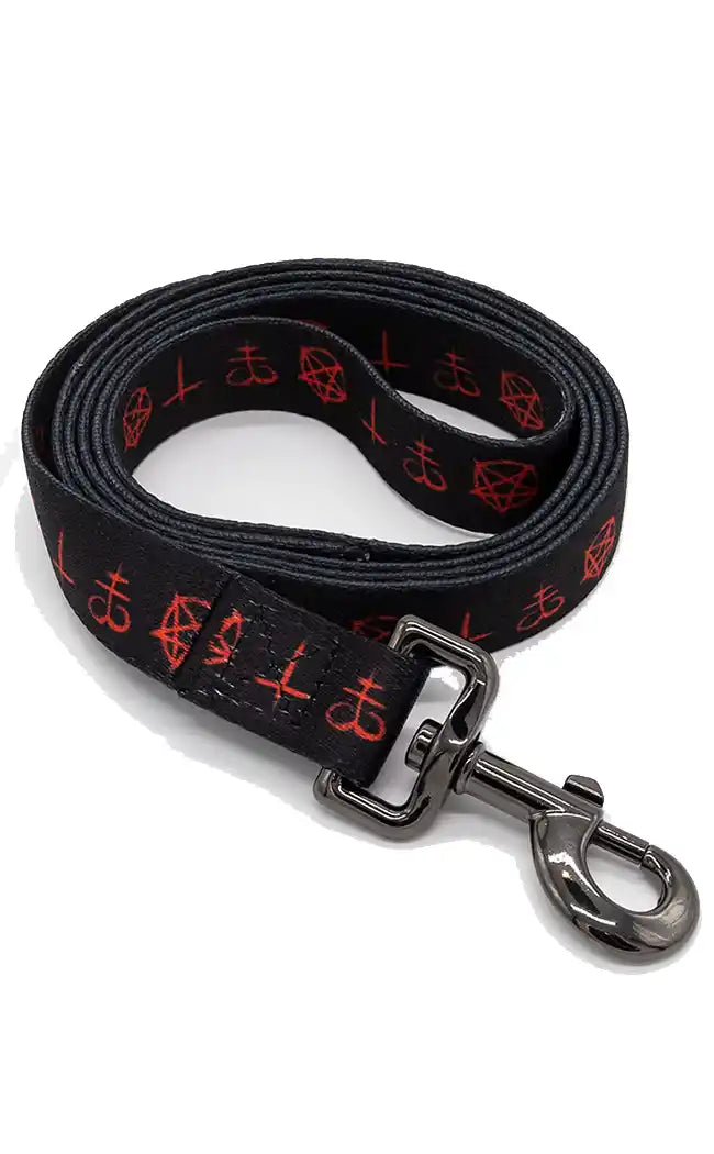 Witches Familiar Pet Leash-Furr King-Tragic Beautiful