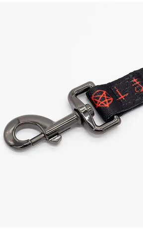 Witches Familiar Pet Leash-Furr King-Tragic Beautiful