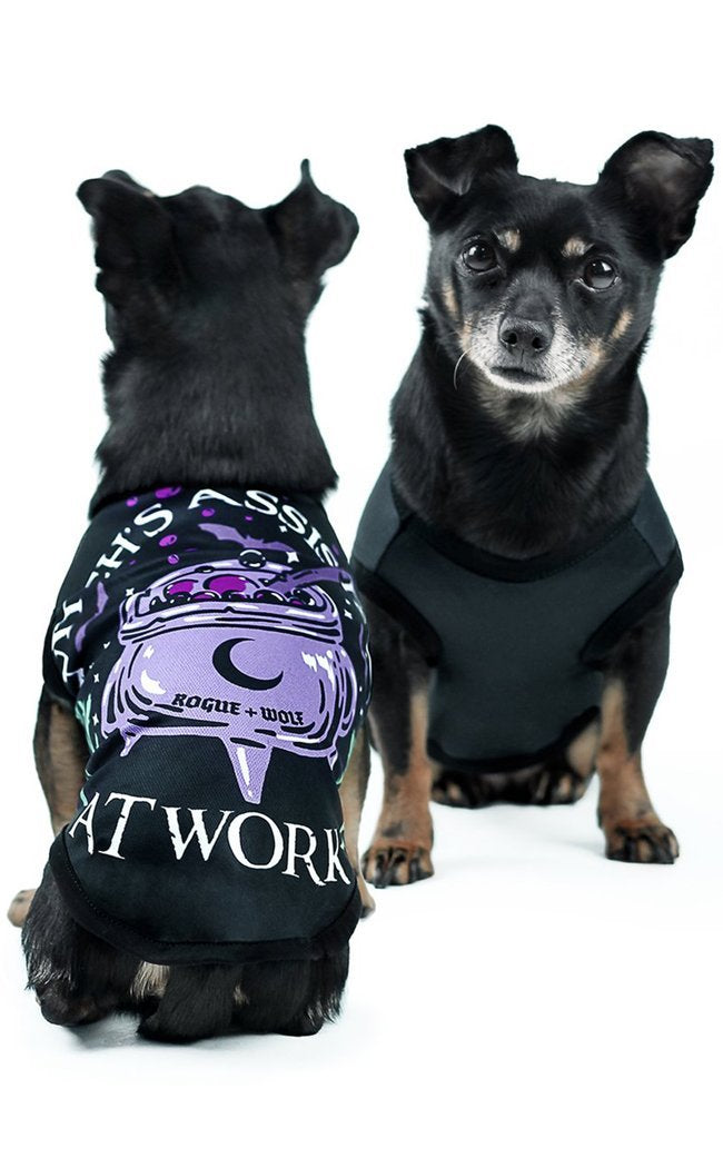 Witch's Assistant at Work Pet Vest-Rogue & Wolf-Tragic Beautiful