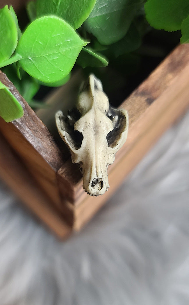 Wolf Skull Magnet-Curio Resins-Tragic Beautiful