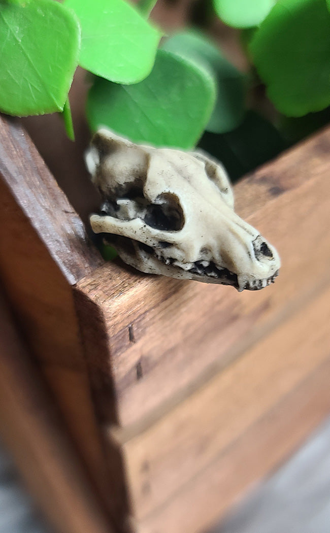 Wolf Skull Magnet-Curio Resins-Tragic Beautiful